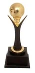 Award 1
