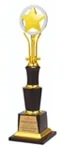 Award 4